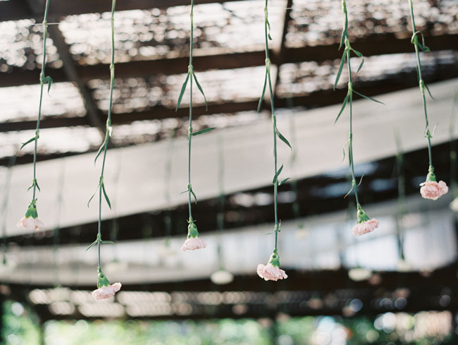 hanging carnations