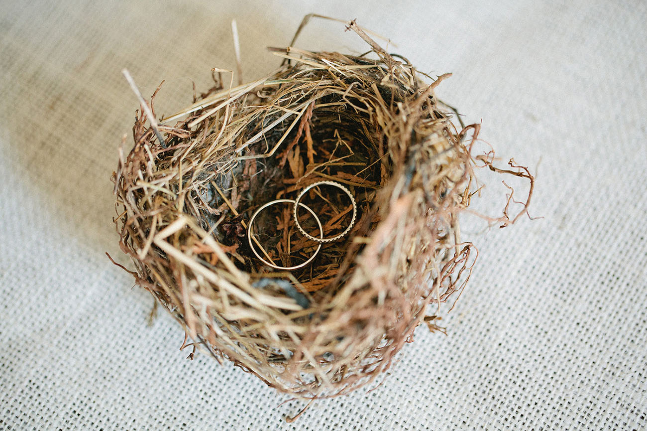 rings in a nest