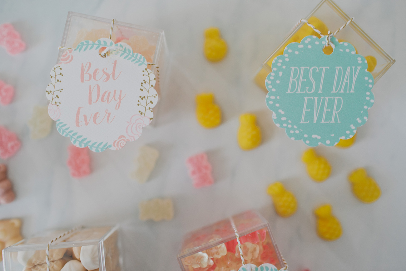 Candy Favors DIY Template