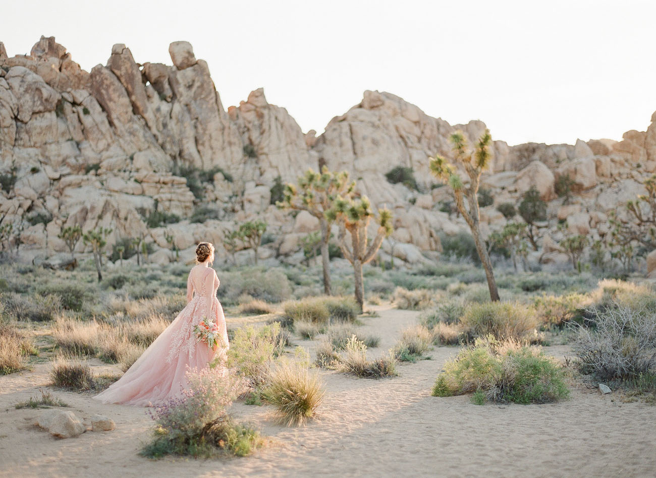 Pink Dress in the Desert