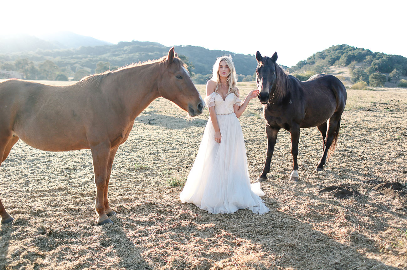 bride with horses
