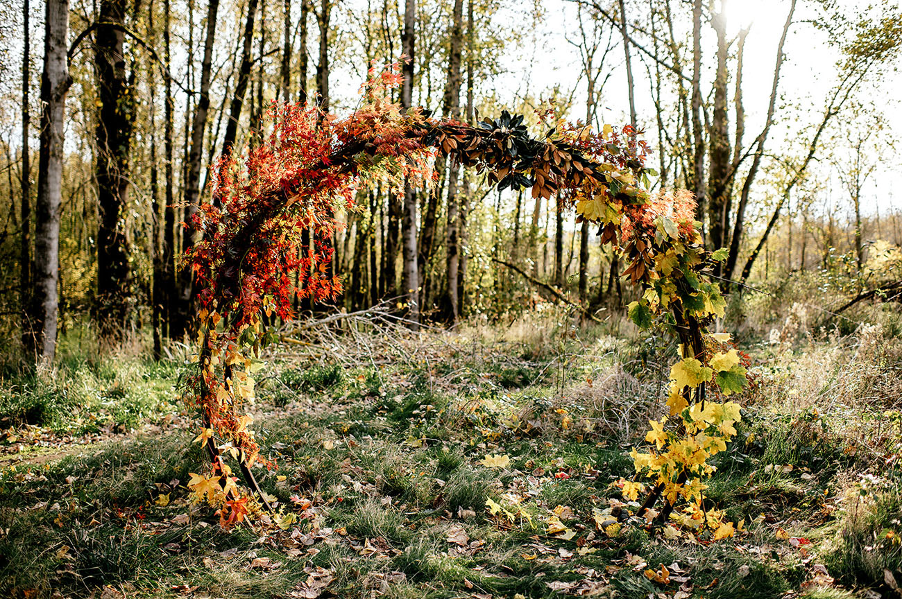 Fall floral circular backdrop