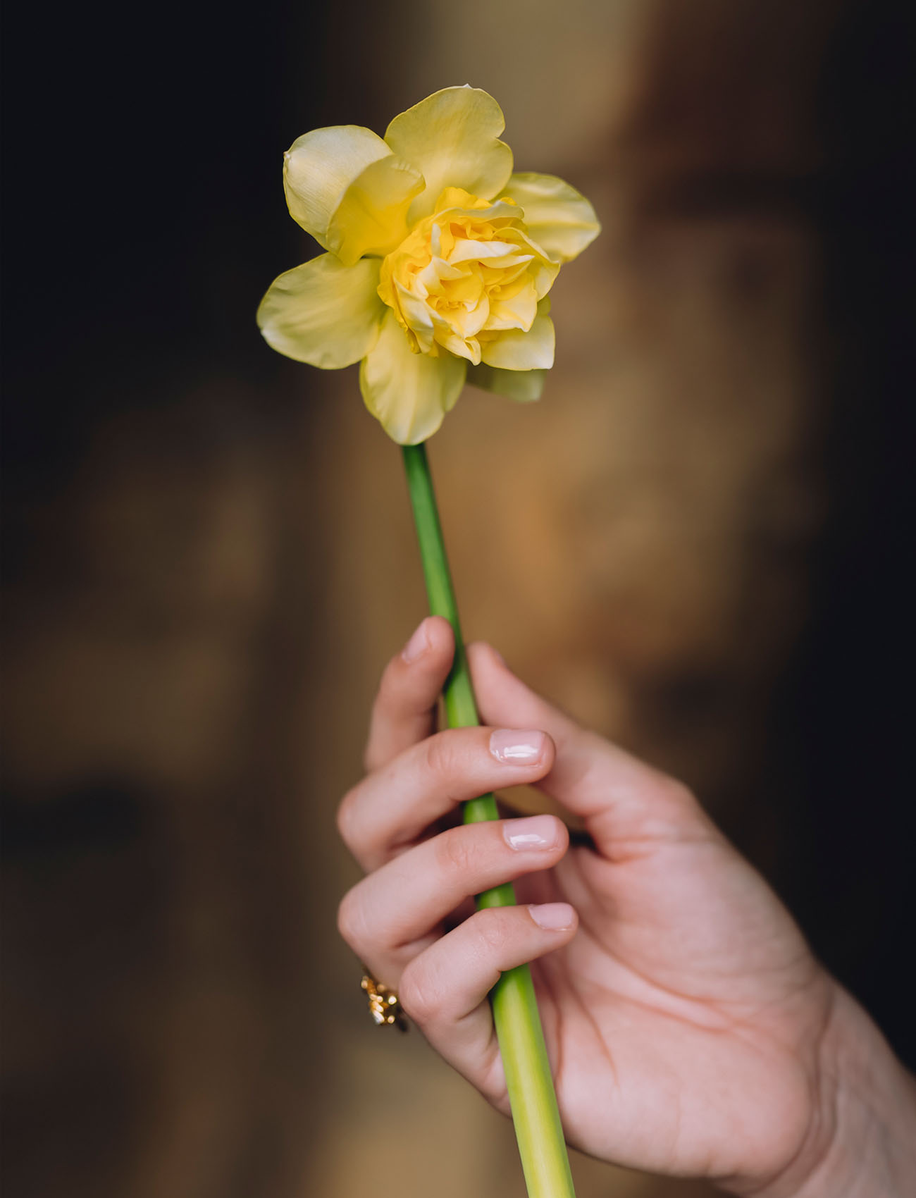 Daffodil Wedding Inspiration