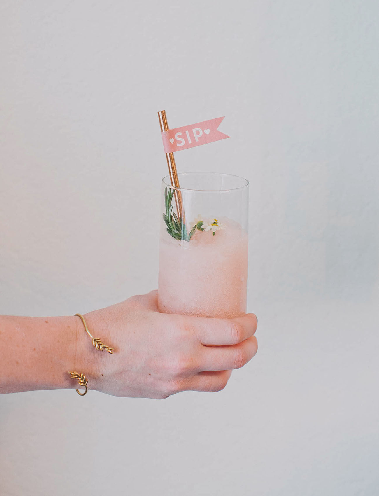 DIY Drink Tags with Frose