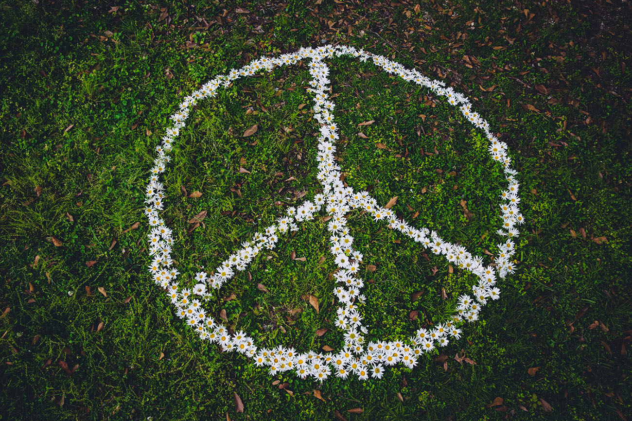 daisy peace sign