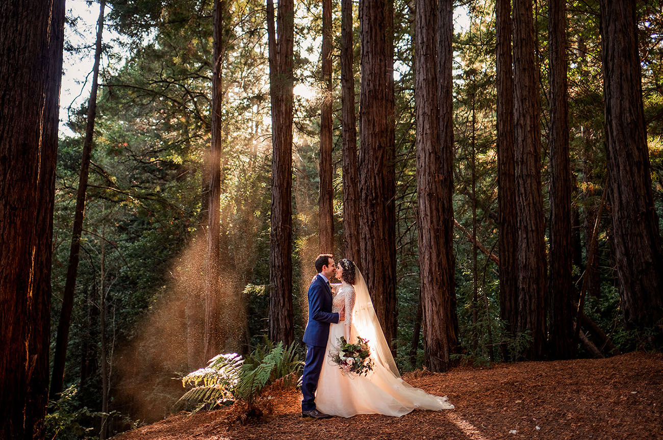 Magical Woodland Sequoia Wedding