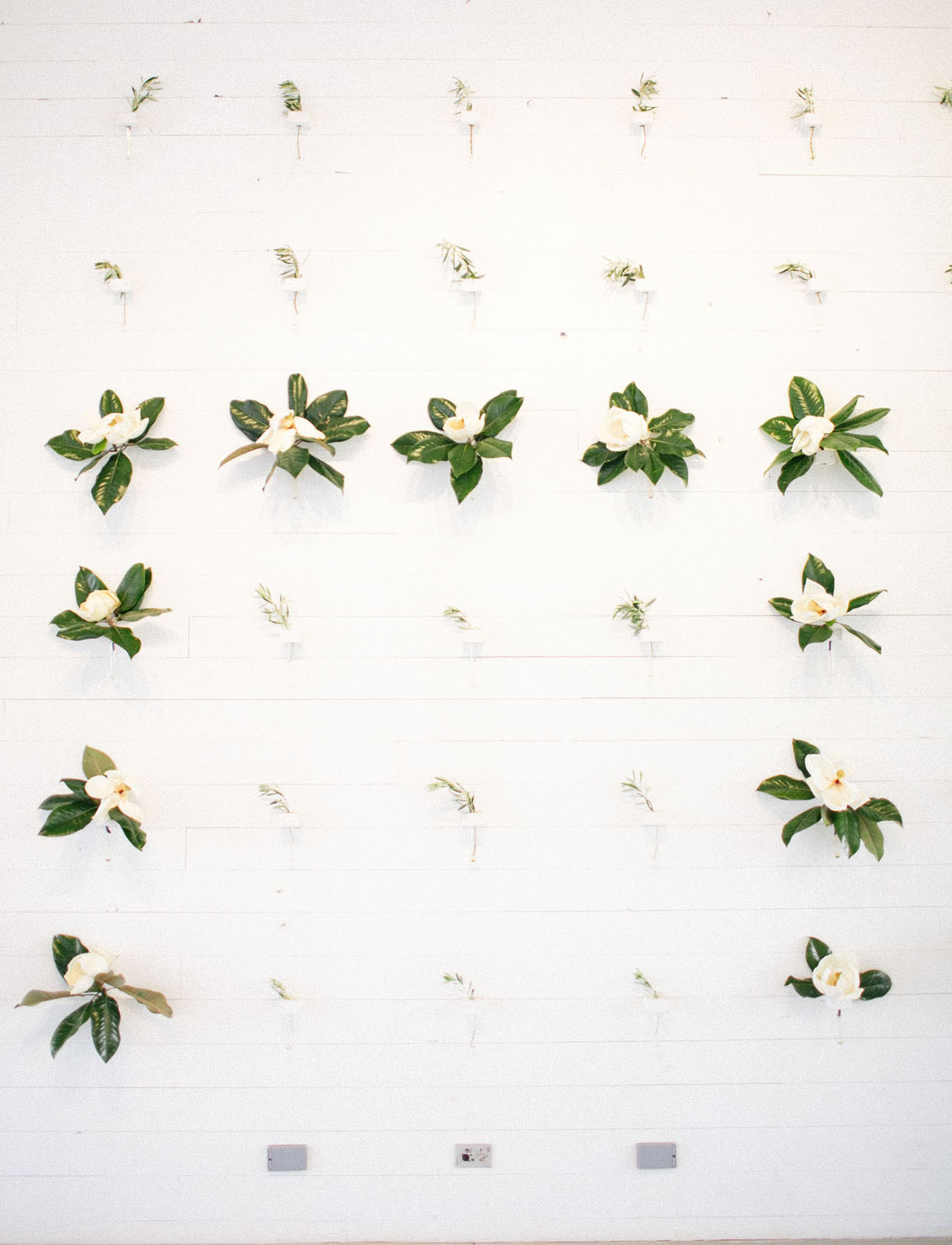magnolia wall