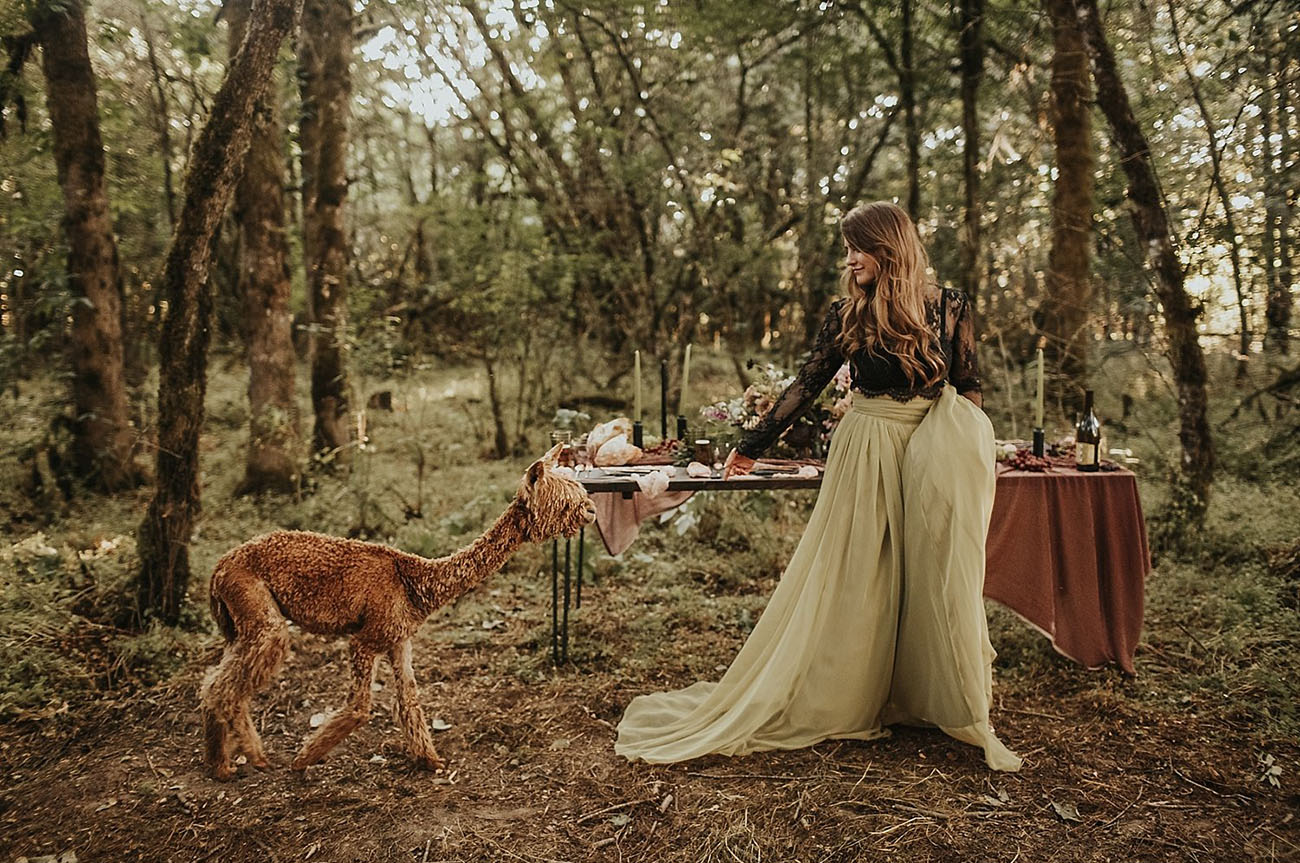 A Bride and Her Alpaca