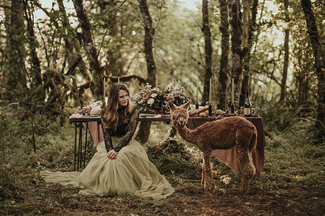 A Bride and Her Alpaca