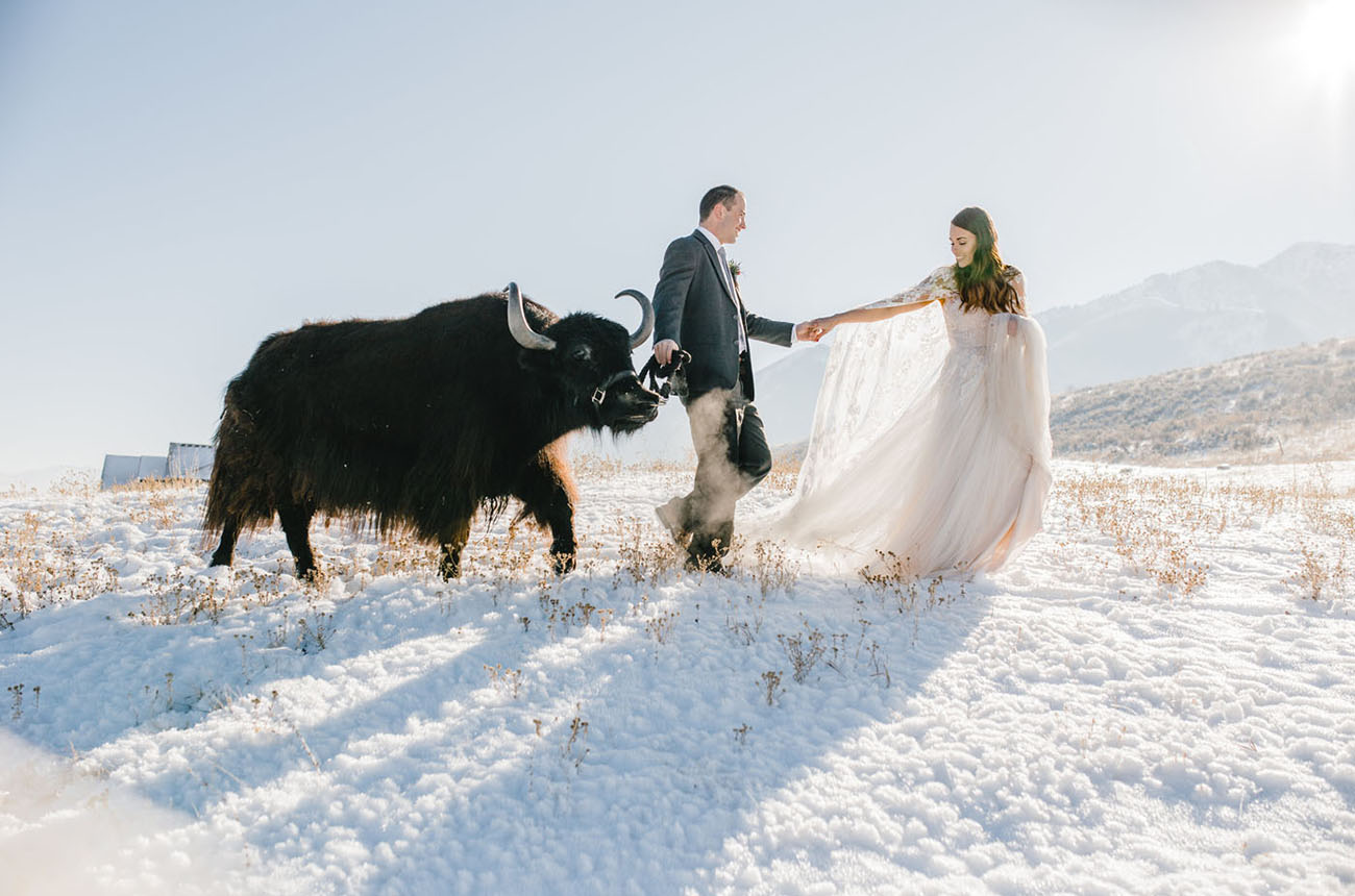 Into the Snow: Ethereal Winter Wedding Inspiration Featuring a Yak!