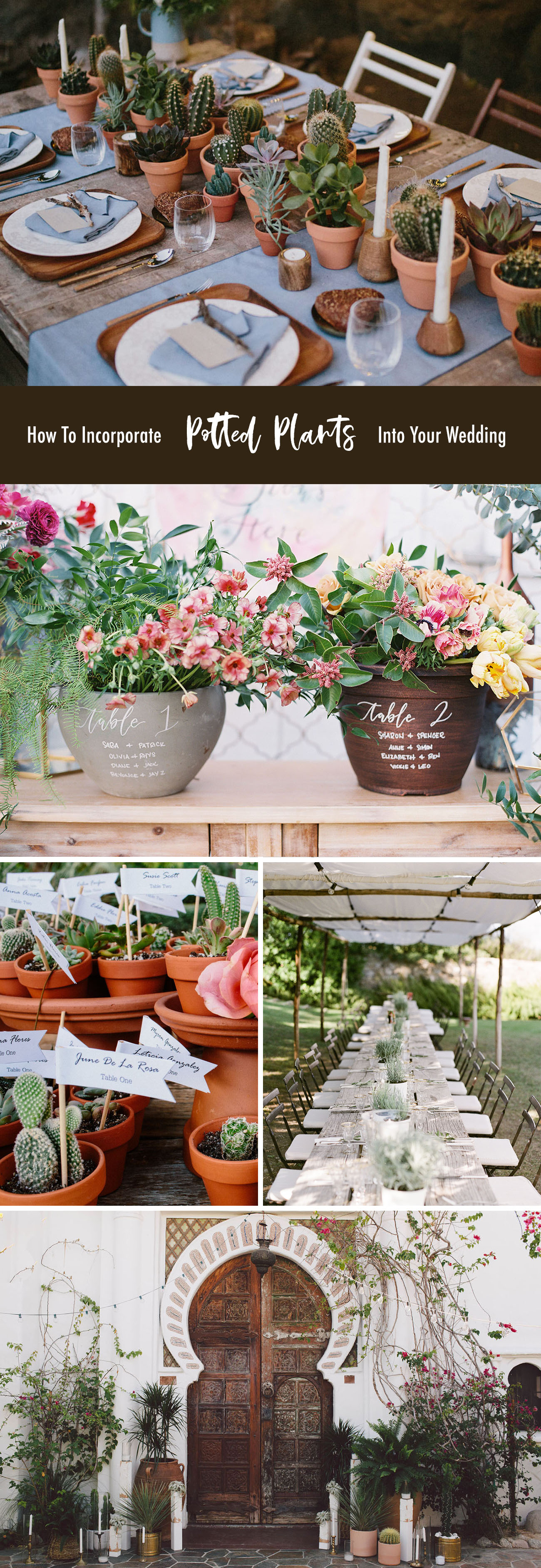 How To Incorporate Potted Plants in Your Wedding