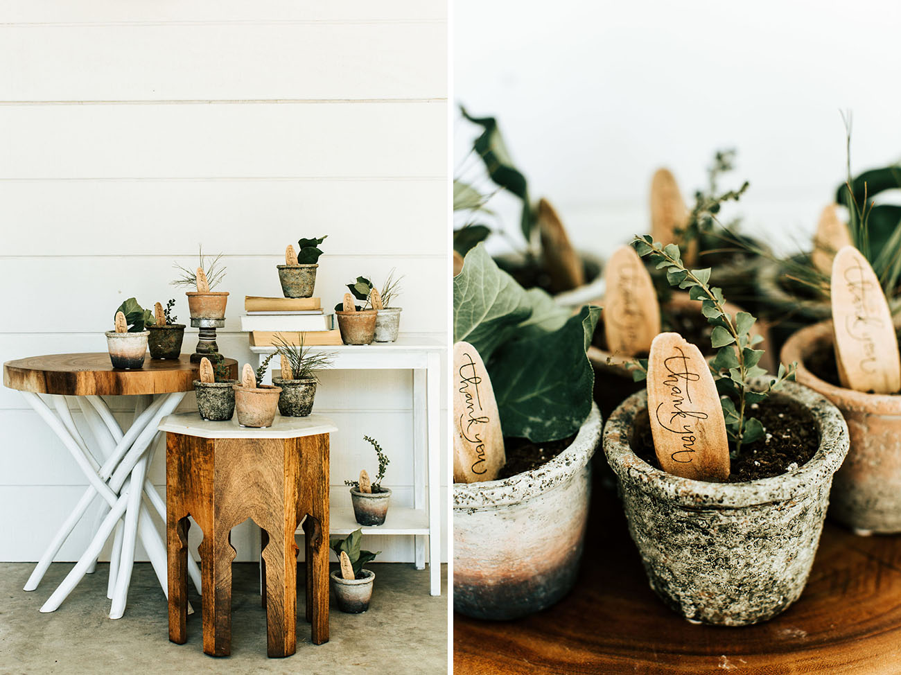potted plant favors