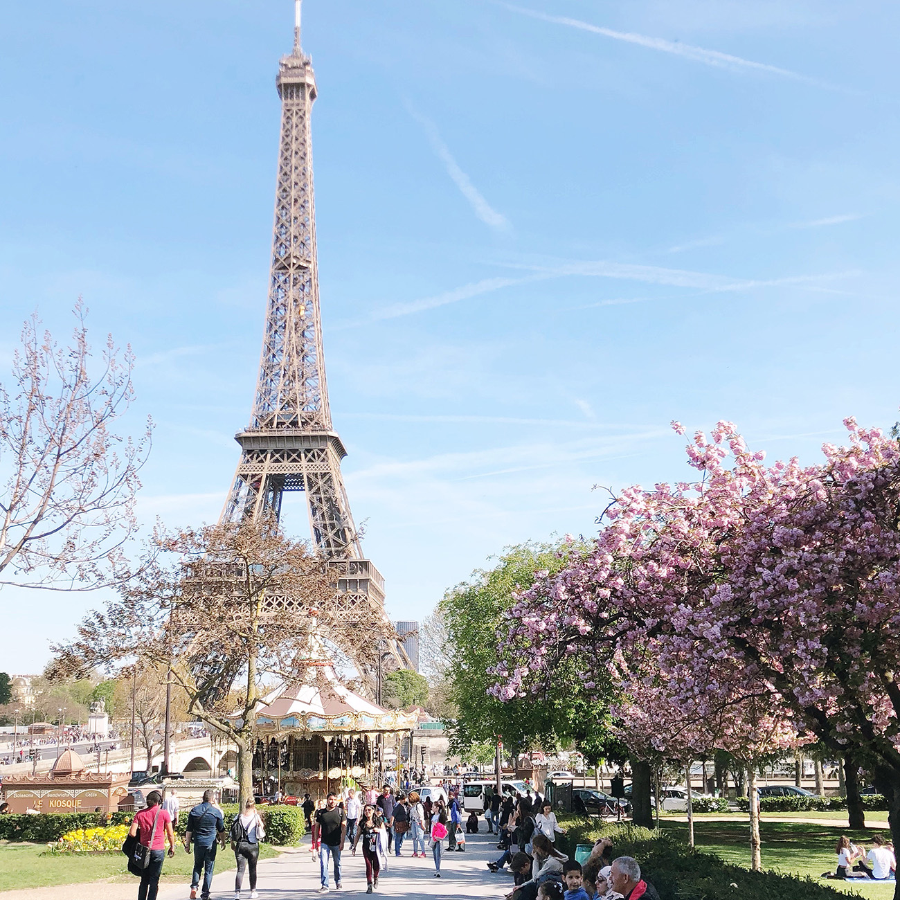 Eiffel Tower with Cherry Blossoms 