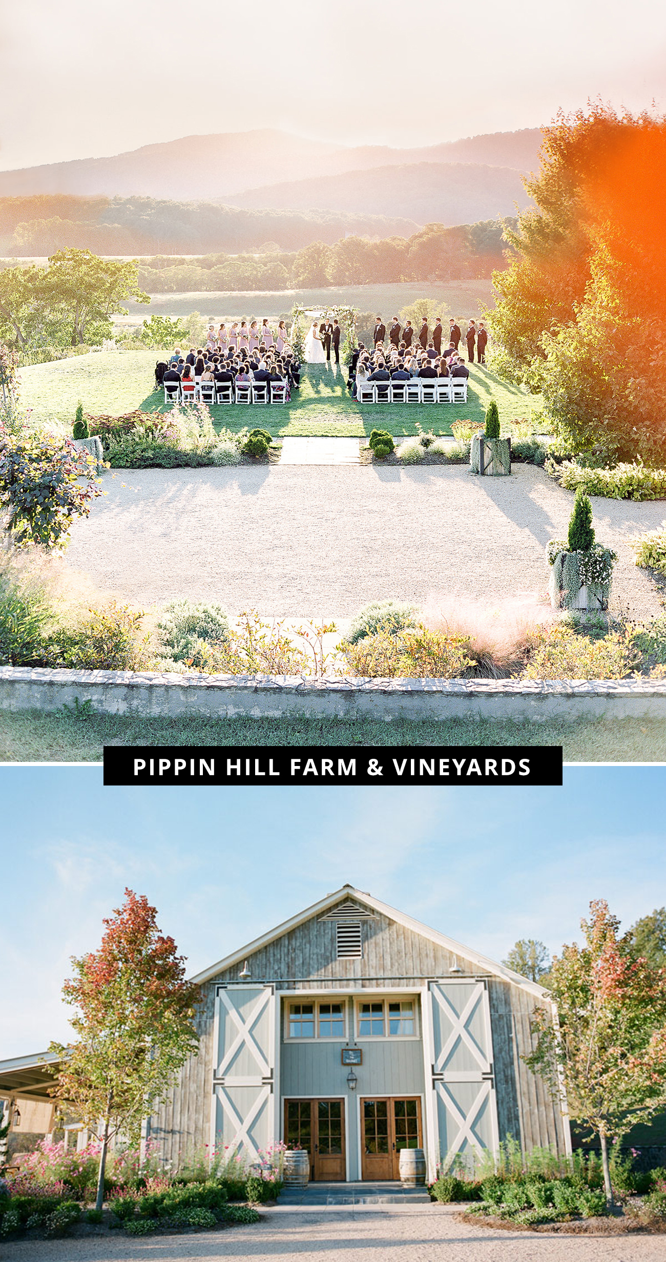 Pippin Hill Fram & Vineyards
