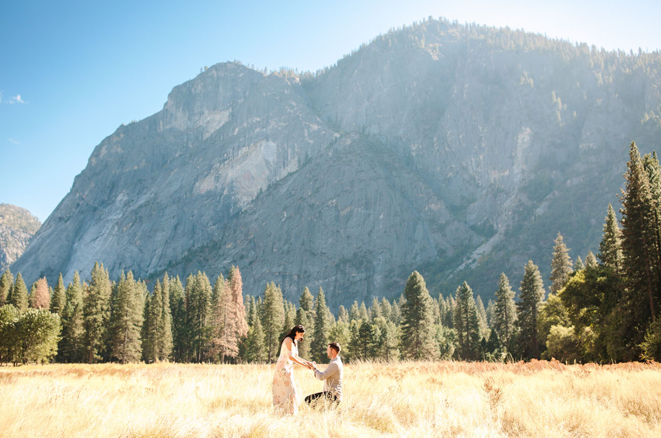 Yosemite Park Proposal