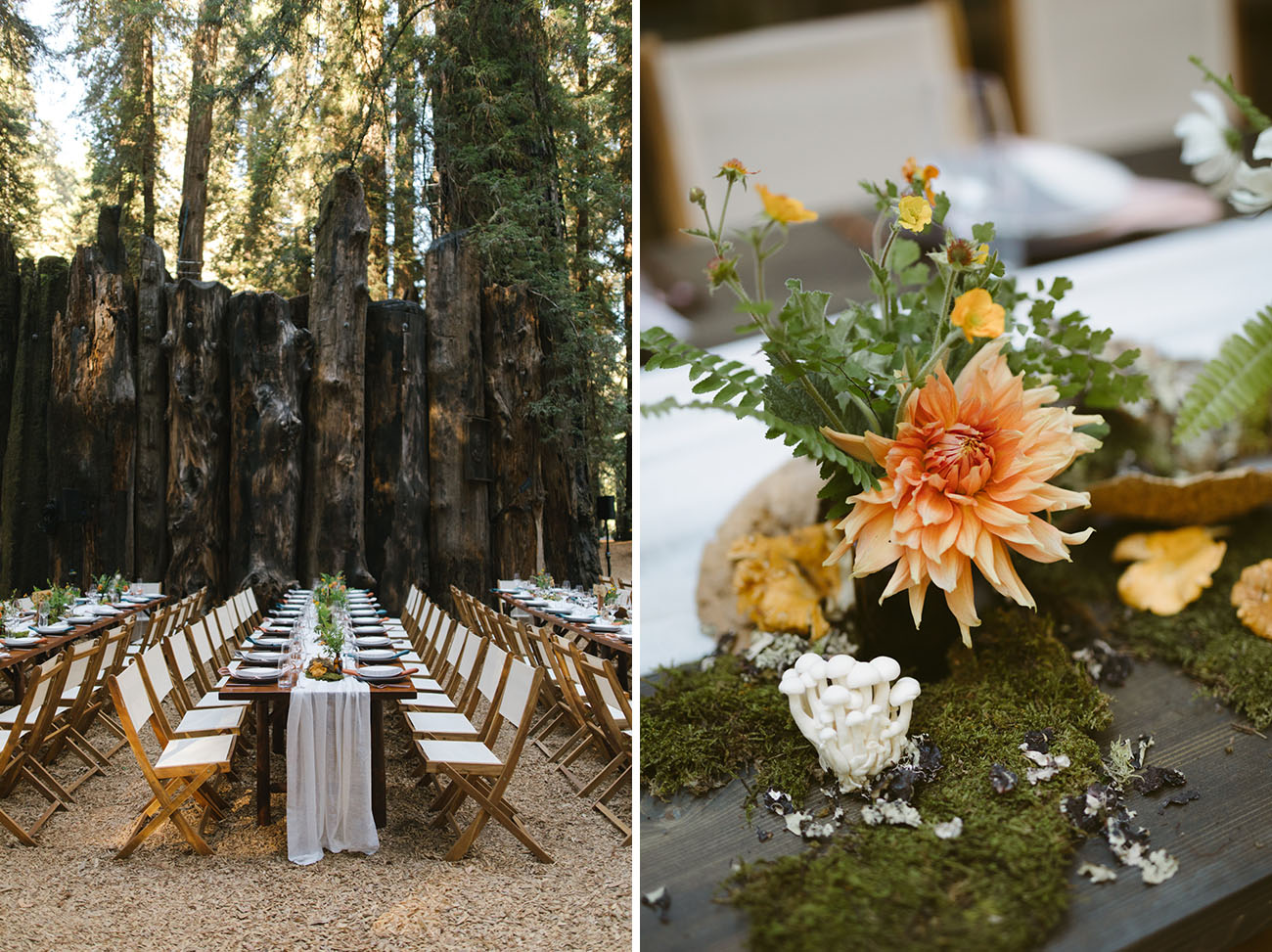 Wild Redwoods Wedding