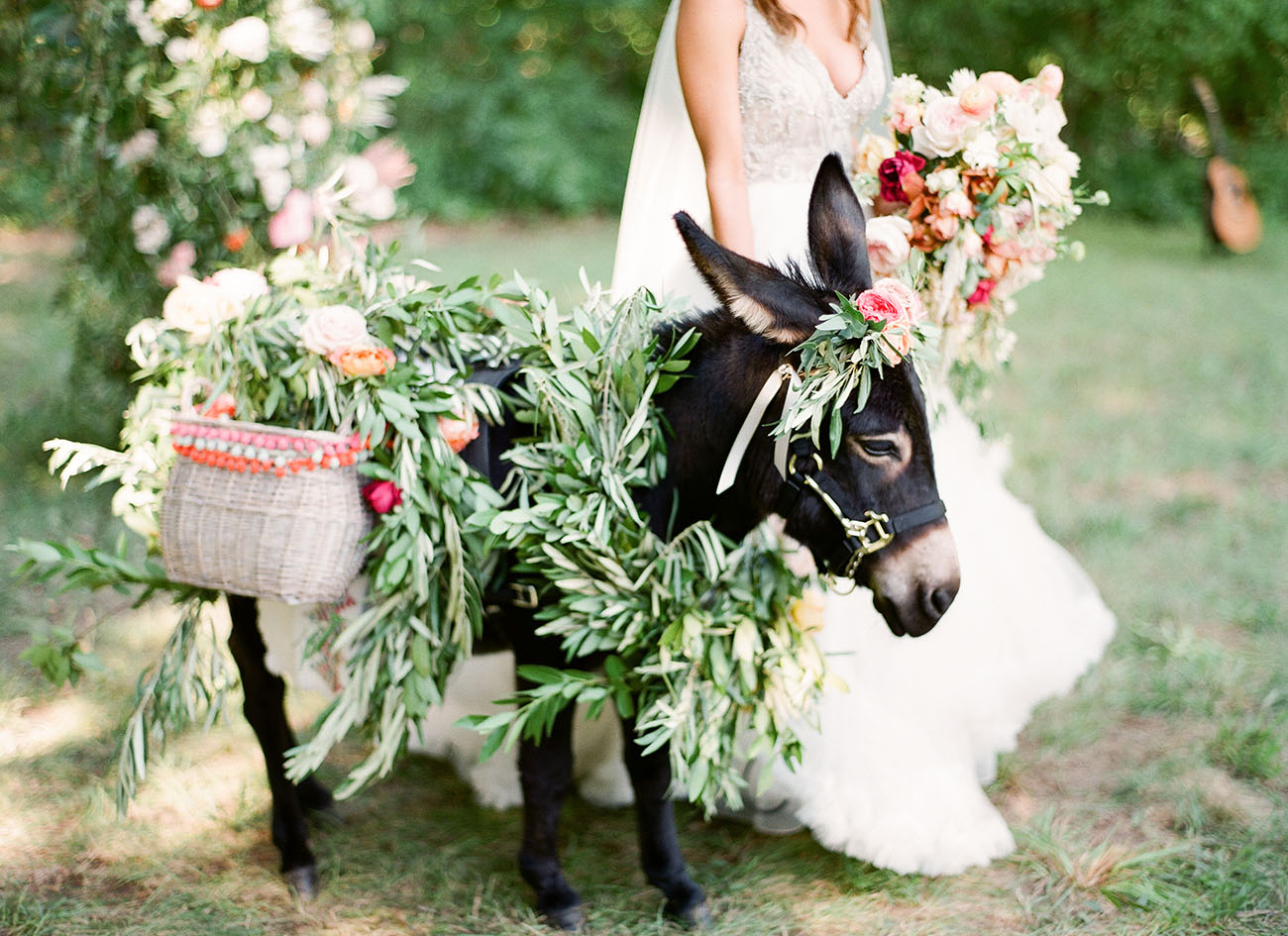 wedding donkey