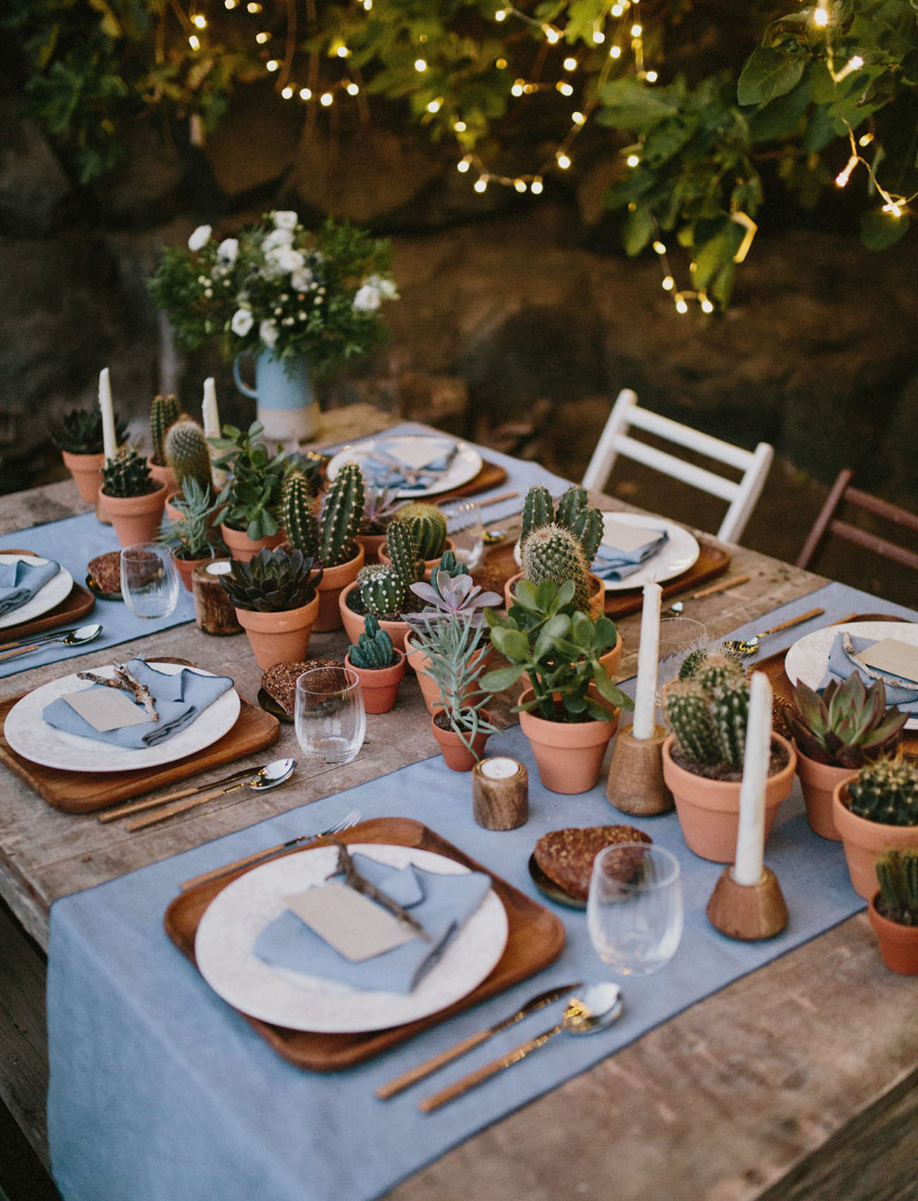 cacti table