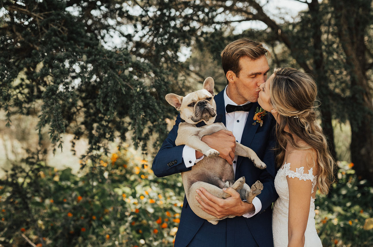 wedding pup portrait