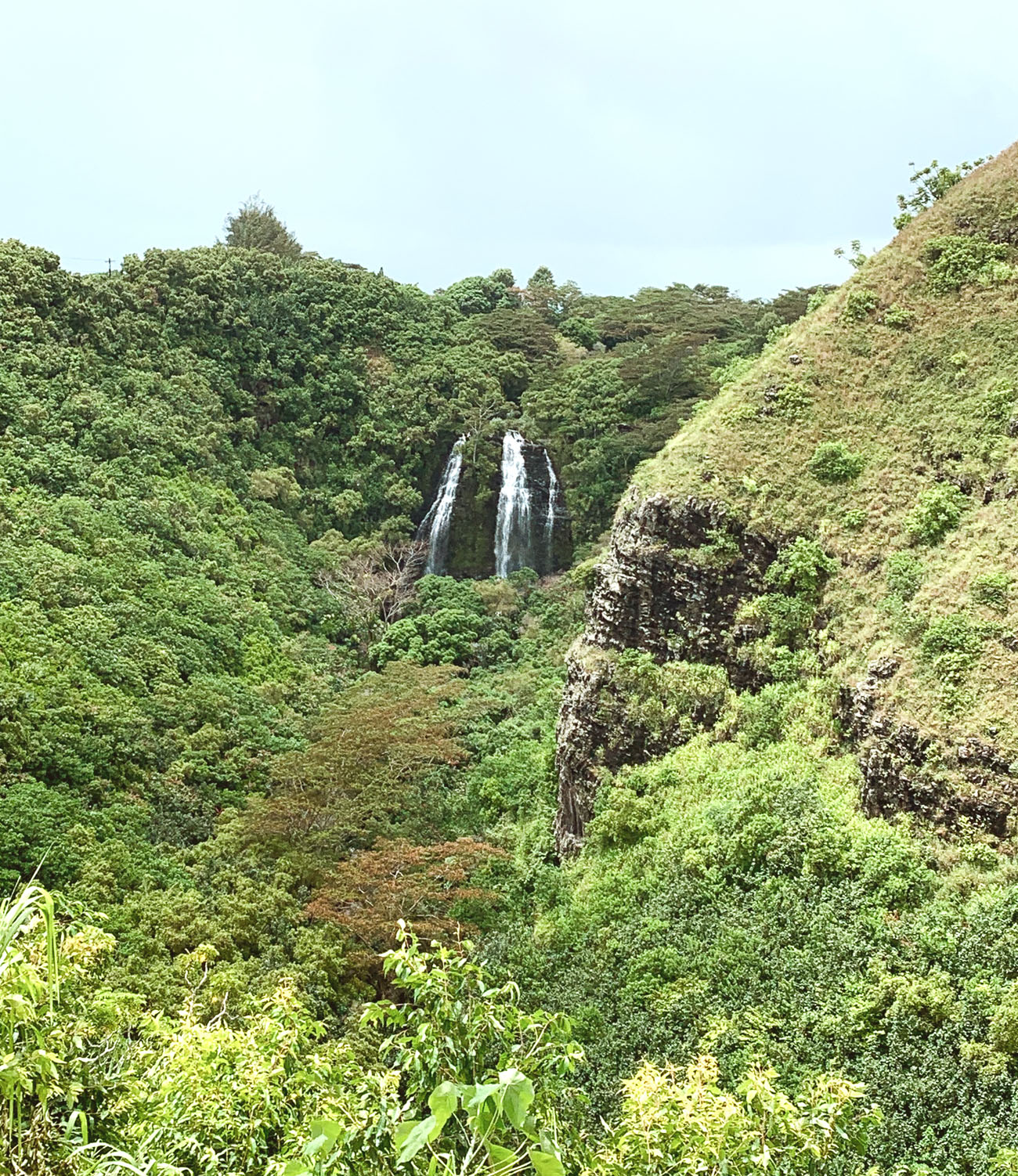 Opaeka‘a Falls in Kauai