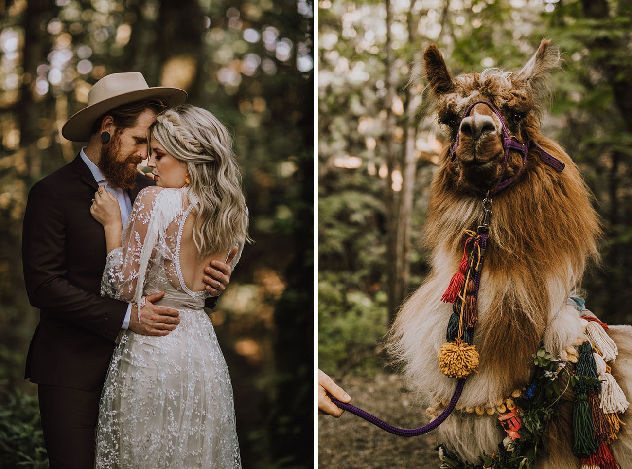 Boho Llama Wedding Inspiration