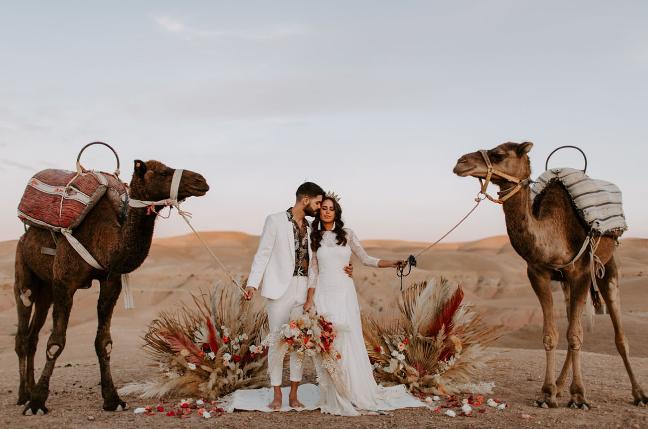 wedding camels