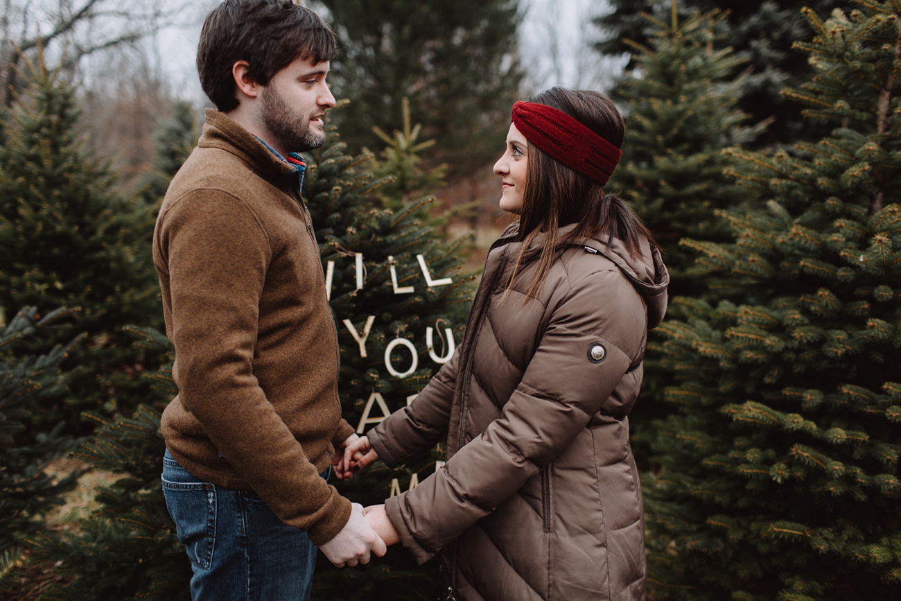 Proposal at a Christmas tree farm