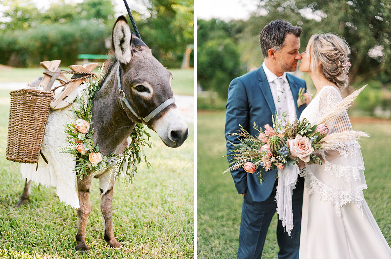 beer burros wedding donkeys