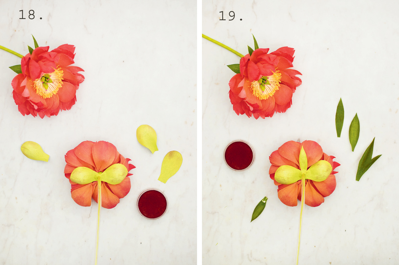 DIY Peony Paper Flowers
