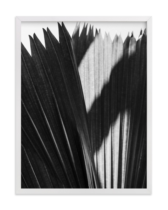 black and white palm wall art