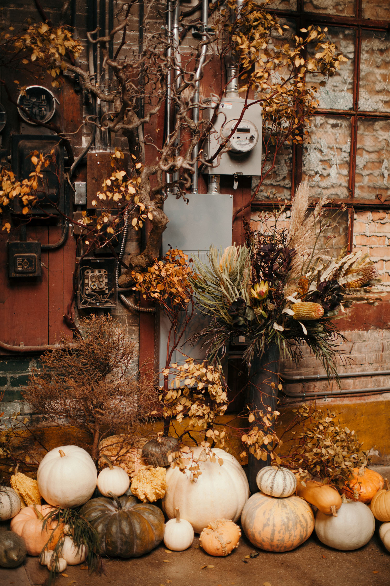 pumpkin ceremony backdrop