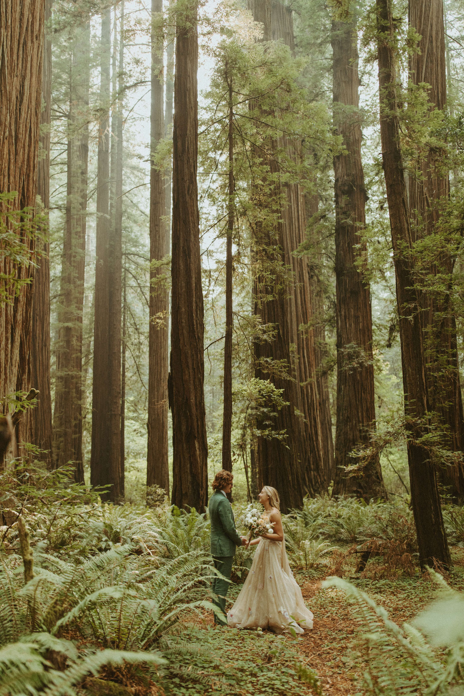 Redwoods Elopement best places to elope