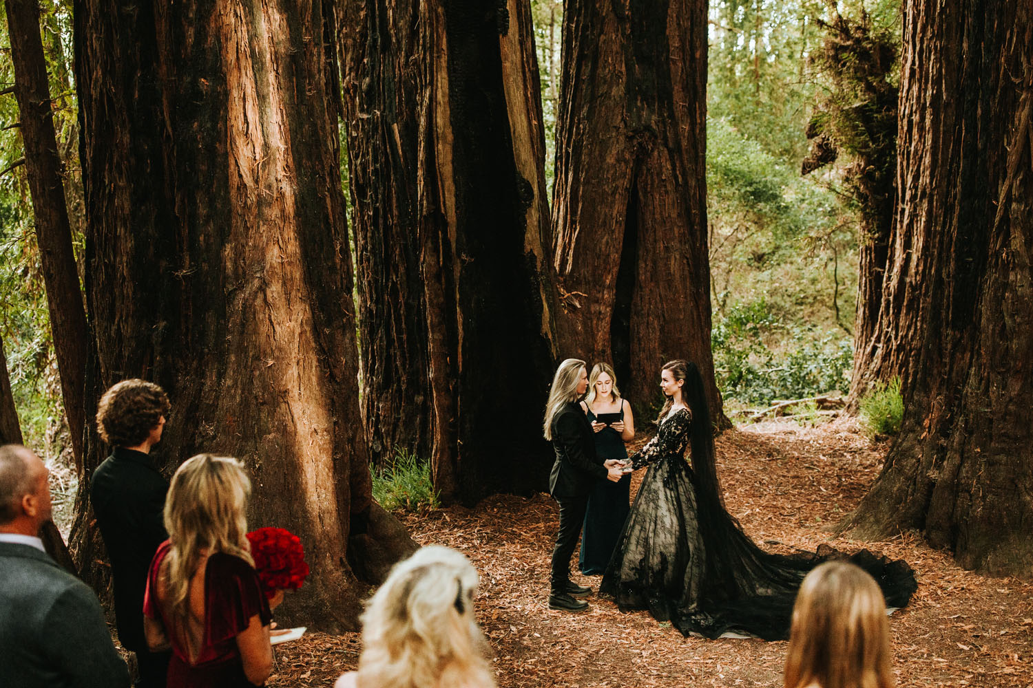 Redwoods North California Wedding