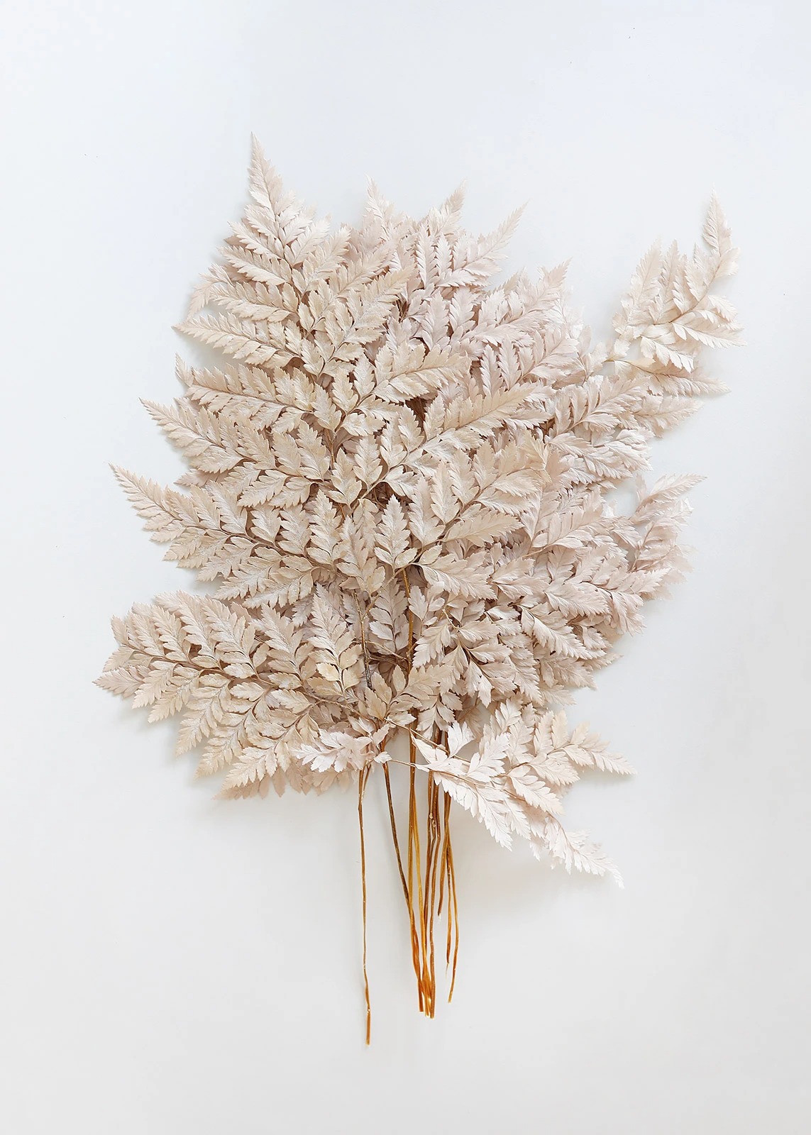 Where to Buy Dried Flowers Guide to Dried Flower Arrangements