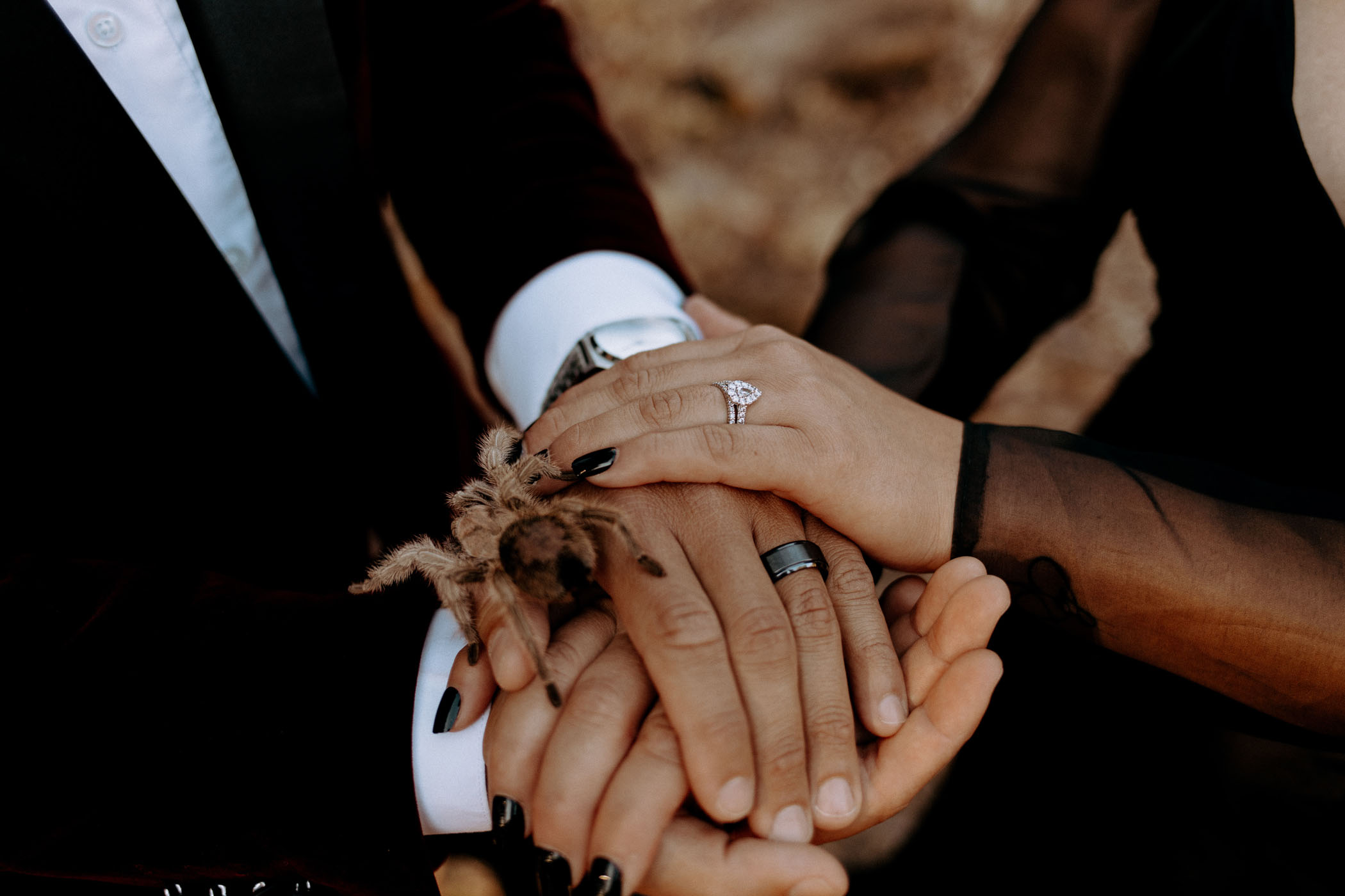 Bride and groom holding spider
