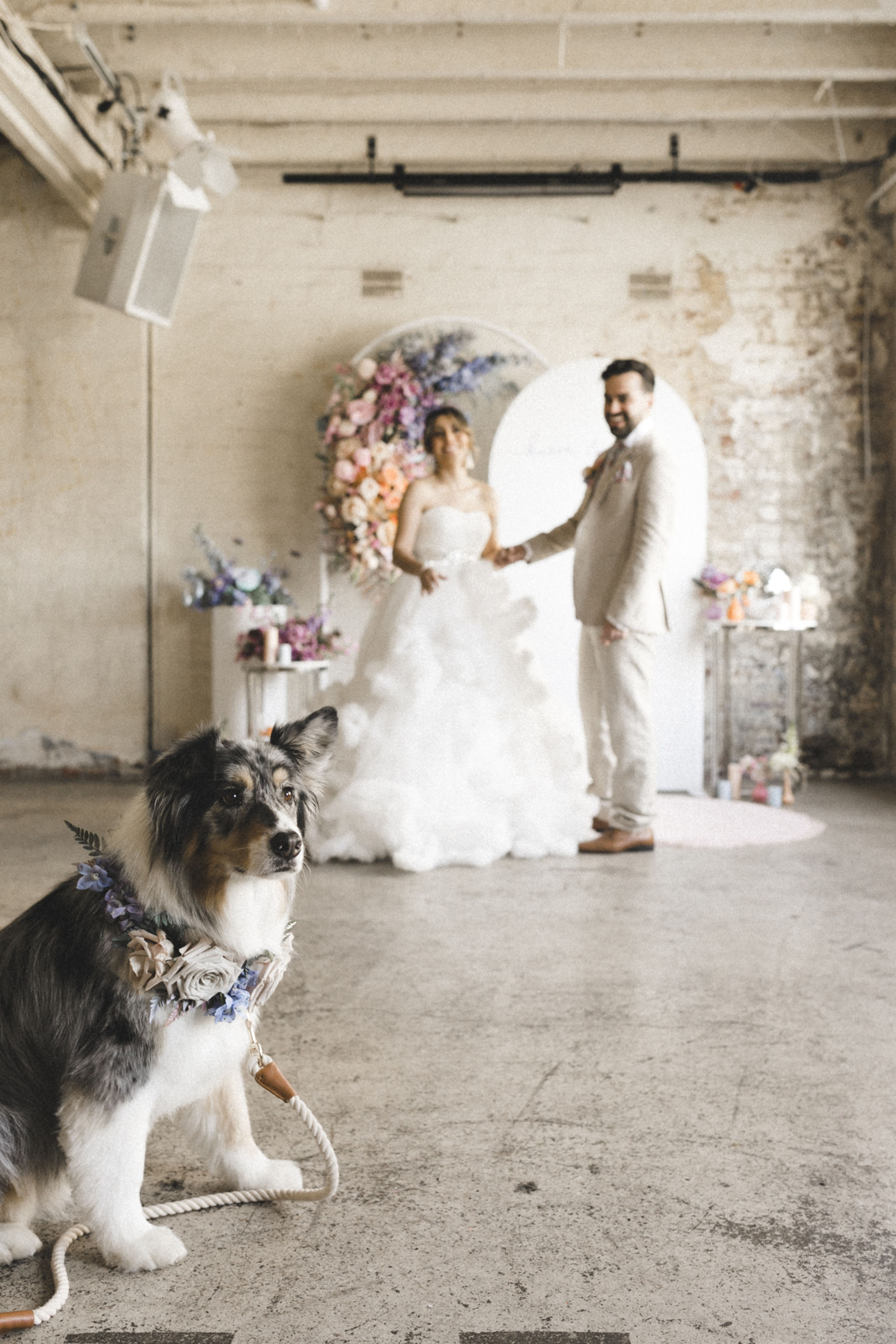 dog in floral leash at wedding ceremony