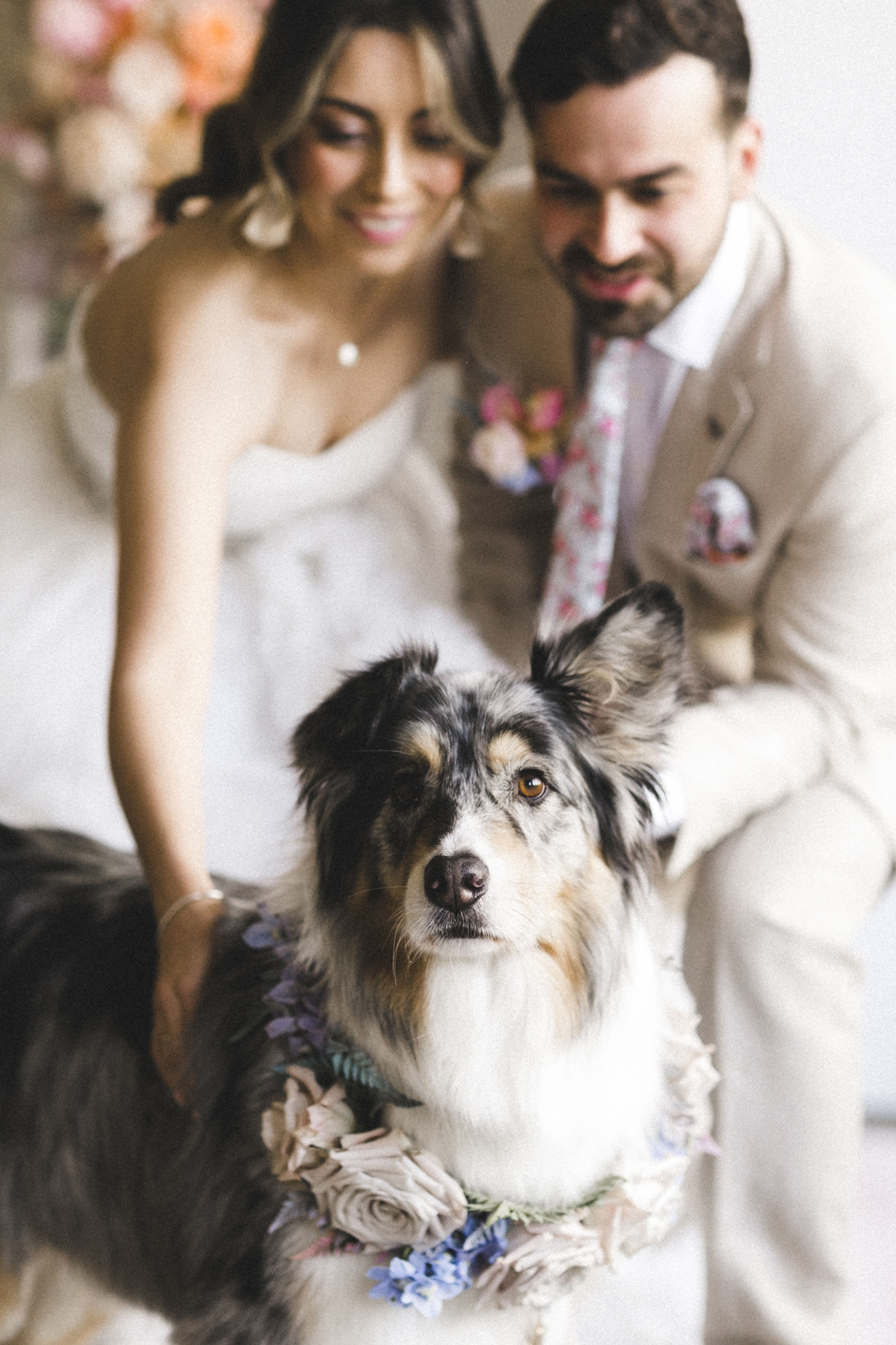bride and groom petting their dog on their wedding day
