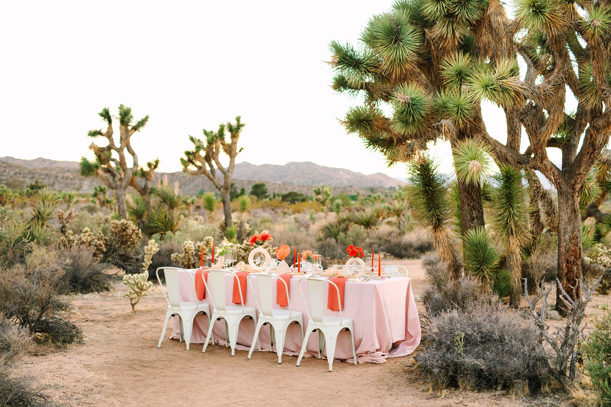 Colorful Modern Desert Wedding Inspiration
