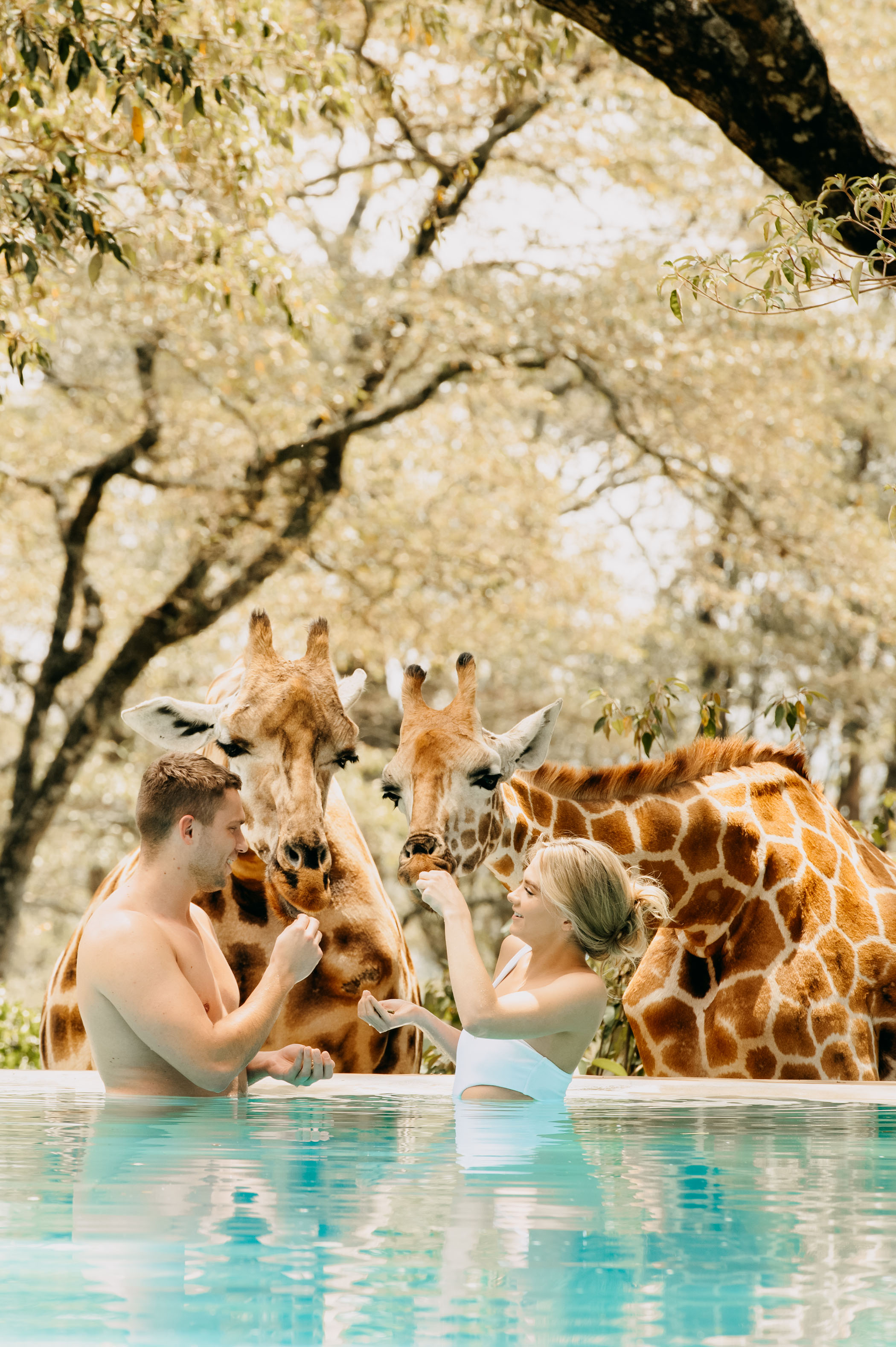 Giraffe Manor Wedding Elopement