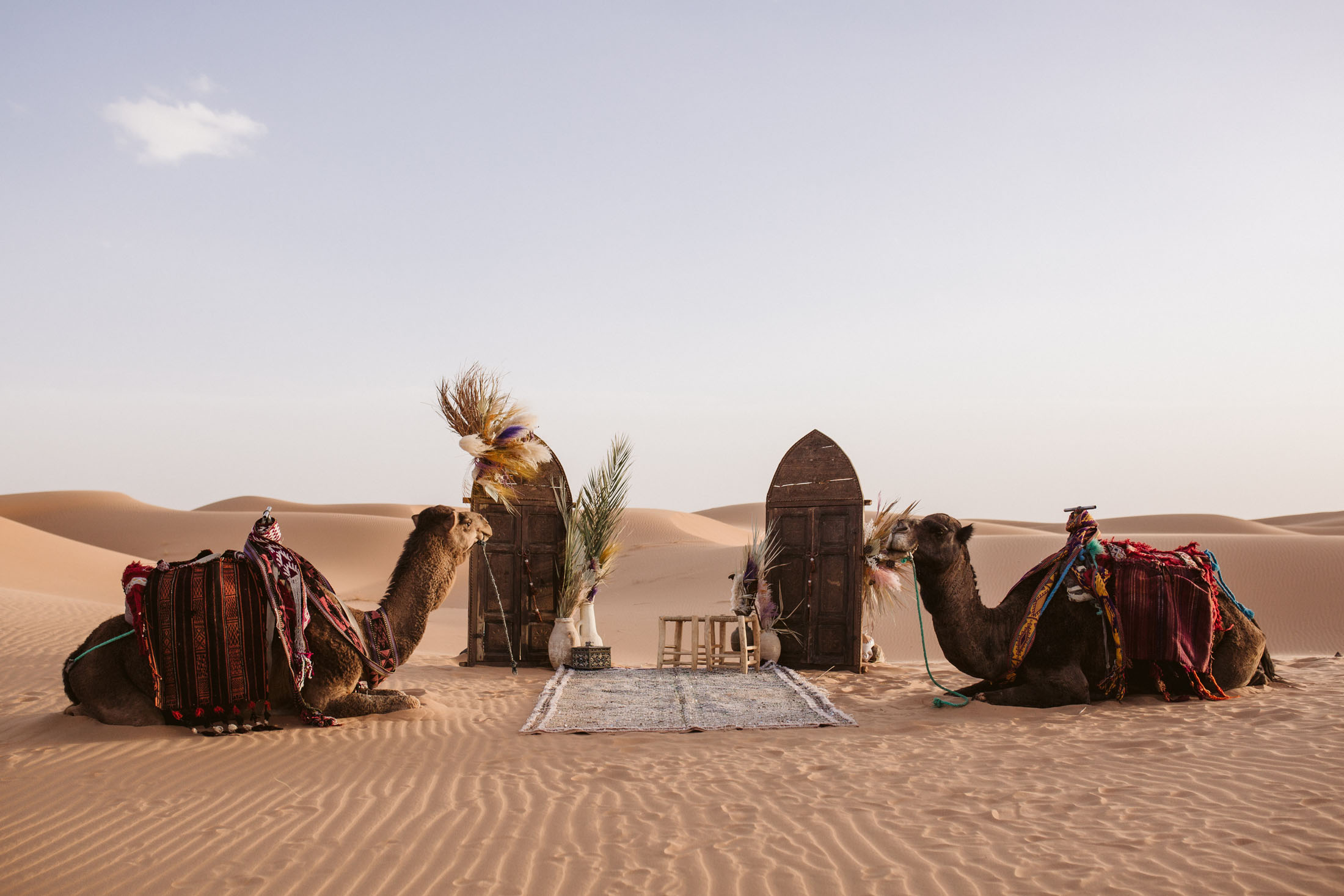 Sahara Desert Wedding Ceremony