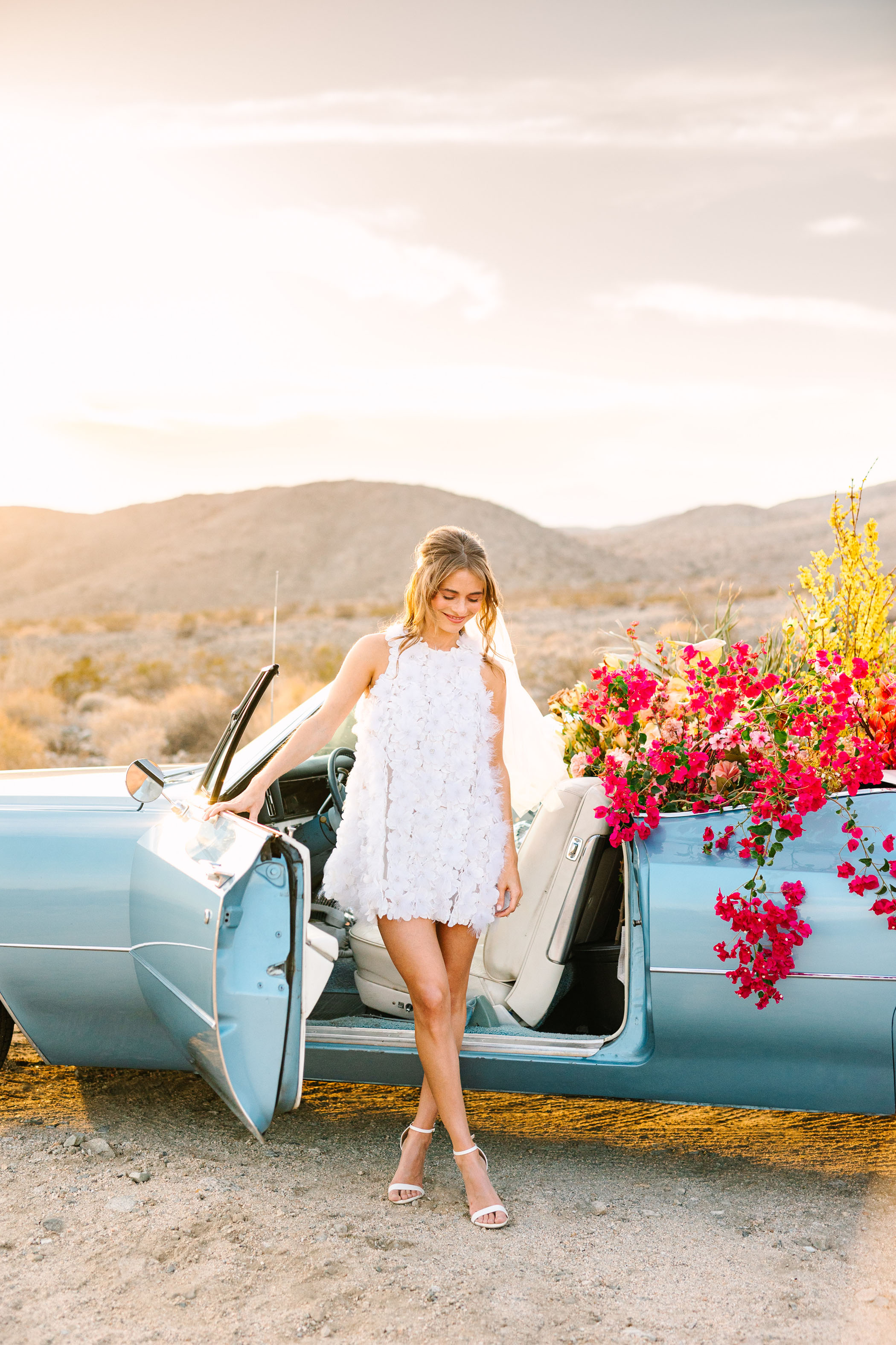 Kindred X Mary Costa Preset Launch