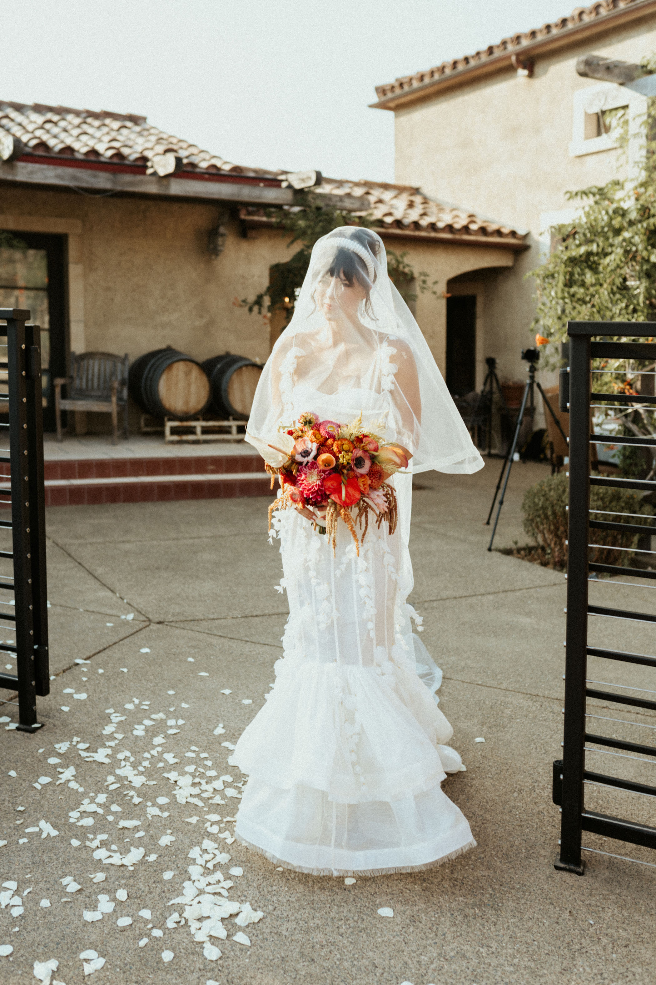 AirBnB Elopement in Hopland California