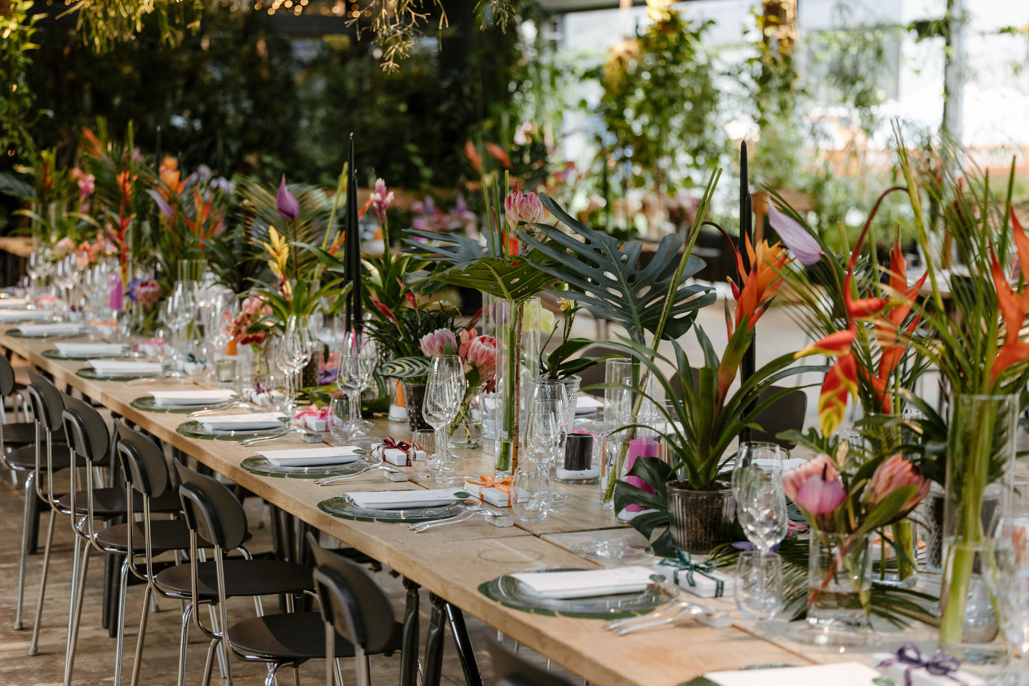 Tropical Greenhouse Wedding