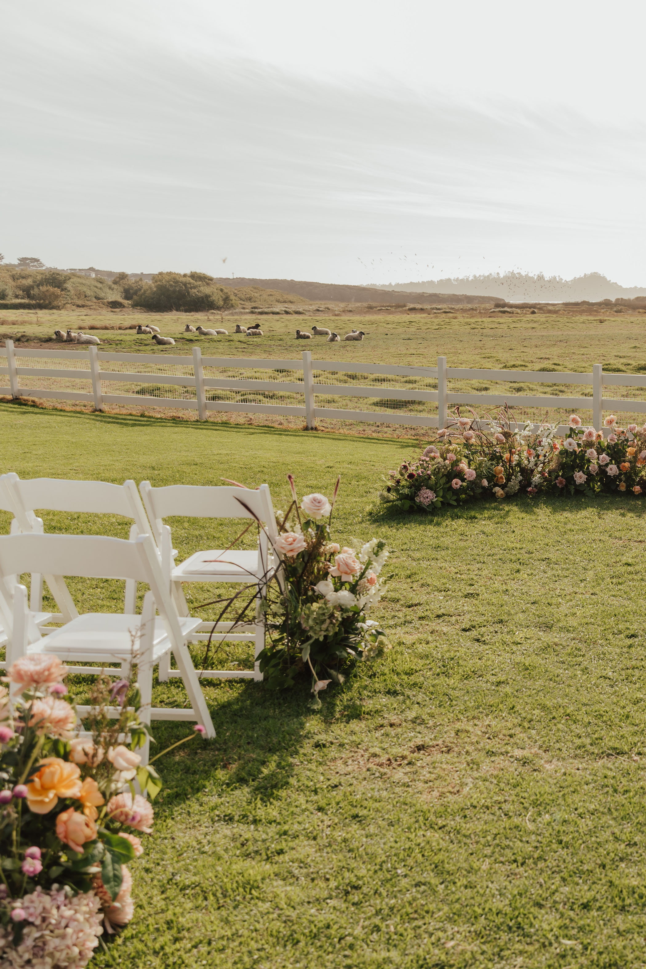 Mission Ranch Loop A Playful Yet Elegant Carmel, California Wedding at Mission Ranch